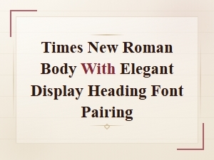 Times New Roman Body with Elegant Display Heading Font Pairing